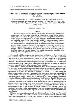 Lethal Role of Interferon in Lymphocytic Choriomeningitis Virus