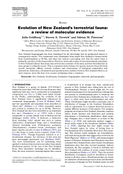 Evolution of New Zealand`s terrestrial fauna: a