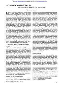 The Machinery of Blood Cell Movements