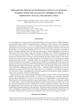 3.Nishida Riesco.pmd