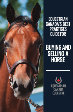 BuYinG and sELLinG a HorsE