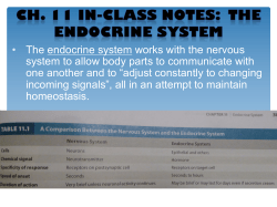 Chapter 11 - Endocrine System