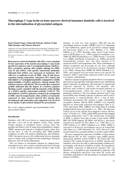 Macrophage C-type lectin on bone marrow&ndash;derived immature