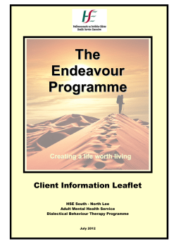 The Endeavour Programme