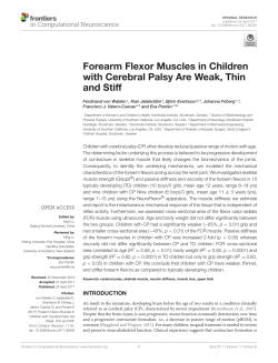 Forearm Flexor Muscles in Children with Cerebral Palsy Are Weak