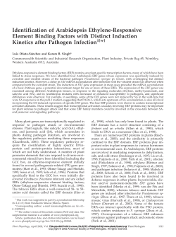 Identification of Arabidopsis Ethylene-Responsive