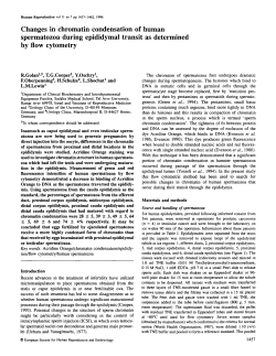 Changes in chromatin condensation of human spermatozoa during