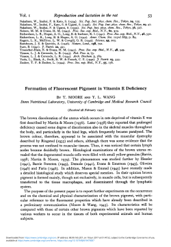Formation of Fluorescent Pigment in Vitamin E Deficiency