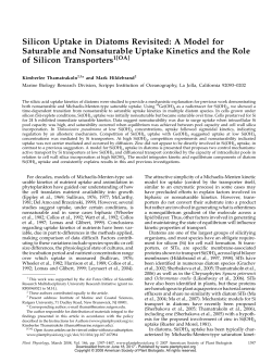 Silicon Uptake in Diatoms Revisited: A Model for