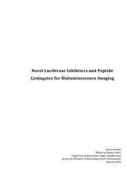 Novel Luciferase Inhibitors and Peptide Conjugates for