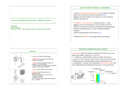 Tools of computational neuroscience : Models of neurons Types of