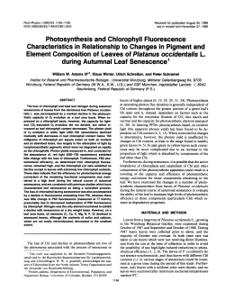 Photosynthesis and Chlorophyll Fluorescence