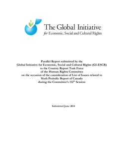 Parallel Report submitted by the Global Initiative for Economic