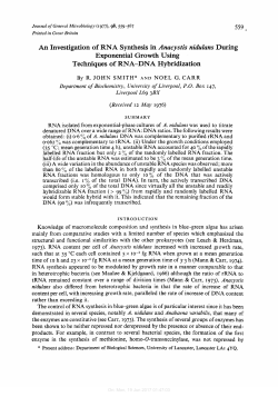 An Investigation of RNA Synthesis in Anacystis