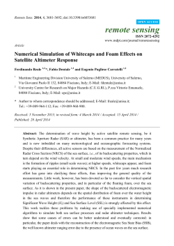 Numerical Simulation of Whitecaps and Foam Effects on Satellite