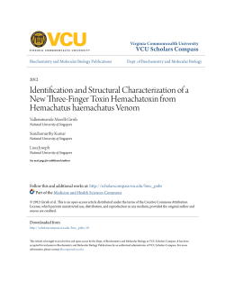 Identification and Structural Characterization of a New Three