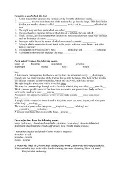 Complete a word which fits best. 1. A thin muscle that