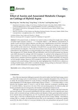 Effect of Auxins and Associated Metabolic Changes on Cuttings of