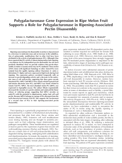 Polygalacturonase Gene Expression in Ripe Melon Fruit Supports a