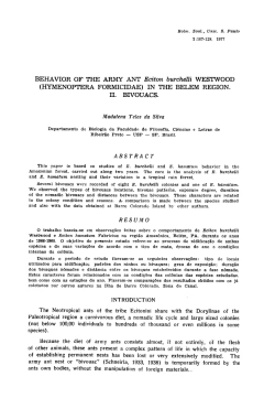 BEHAVIOR OF THE ARMY ANT Eciton burchelli