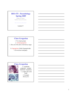 Lecture 9 - Northern Arizona University