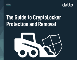 The Guide to CryptoLocker Protection and Removal