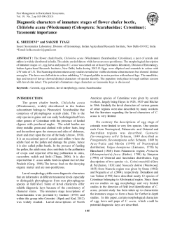 Diagnostic characters of immature stages of flower chafer beetle