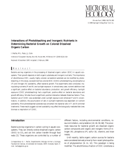 Interactions of Photobleaching and Inorganic Nutrients in