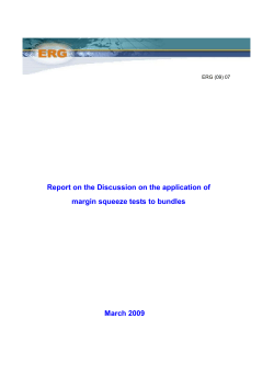 Report on the Discussion on the application of margin squeeze tests