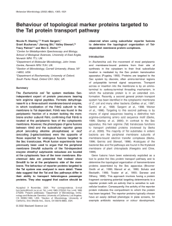 Behaviour of topological marker proteins targeted to the Tat protein