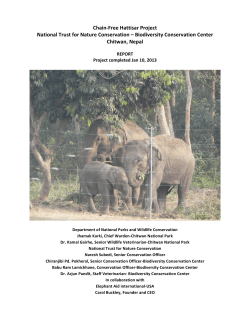 to - Elephant Aid International