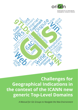 Challenges for Geographical Indications in the context of the ICANN