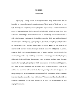 Supercritical Fluid Extraction and Chromatography of Various Lipids