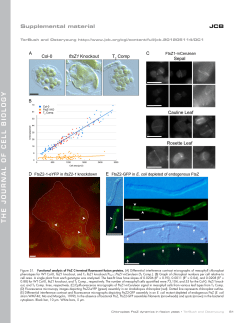 Supplemental material