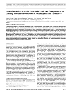 Auxin Depletion from the Leaf Axil Conditions Competence for