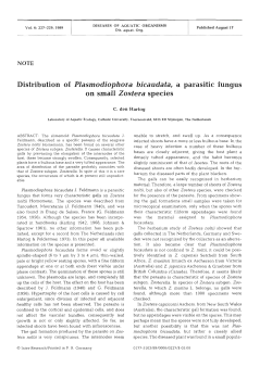 Distribution of Plasmodiophora bicaudata, a