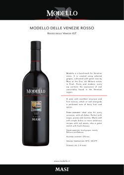 schede vino - Modello delle Venezie