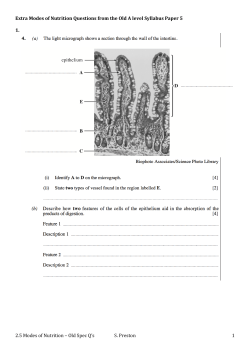 2.5 Modes of Nutrition &ndash; Old Spec Q`s S. Preston 1