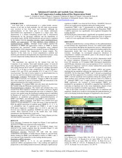Imbalanced Catabolic and Anabolic Gene Alterations in a Rat Tail