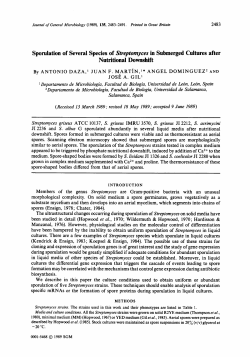 Sporulation of Several Species of Streptomyces in