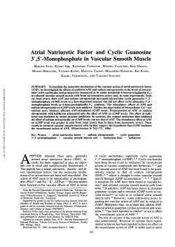 Monophosphate in Vascular Smooth Muscle