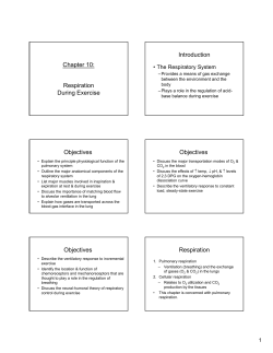 KINE 3315 Chapter 10 powers