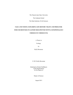 TAILS AND TOXINS: EXPLORING LIFE HISTORY TRAITS AND