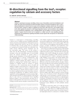 Bi-directional signalling from the InsP3 receptor: regulation by