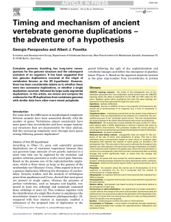 Timing and mechanism of ancient vertebrate genome duplications