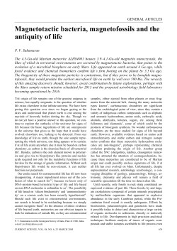 Magnetotactic bacteria, magnetofossils and the antiquity of life