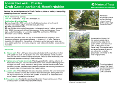 corporate branding along the top