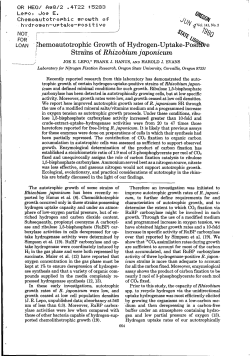 Chemoautotrophic growth of hydrogen-uptake