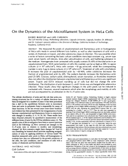 On the Dynamics of the Microfilament System in HeLa Cells