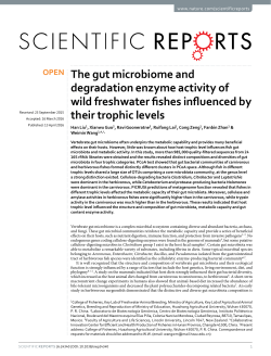The gut microbiome and degradation enzyme activity of wild